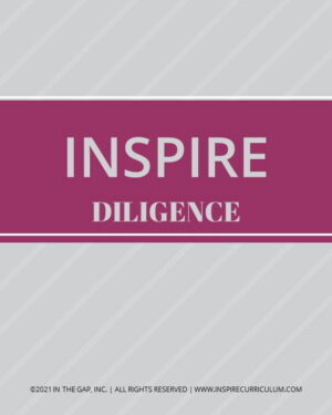 INSPIRE-Diligence-PP-web